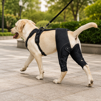 Attelle de soutien pour genou de chien, protection de la patte, stabilisateur articulaire de rééducation avec harnais pour la marche post-chirurgicale