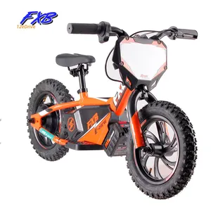 12 "FXB phong cách điện mini cân bằng xe đạp 250W không chổi than Hub động cơ mini xe đạp