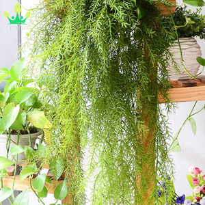 Helechos verdes artificiales vides colgantes aguja de pino planta de plástico <span class=keywords><strong>Flor</strong></span> de plástico para decoración de pared de jardín doméstico - Product Image 4