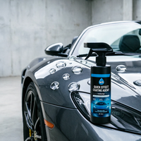 Agent de polissage automobile OEM 500 ml, revêtement brillant 2 en 1 pour peinture et verre, protection céramique en spray