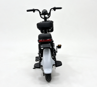 Vélo Électrique Urbain Double Siège pour Adultes de Haute Qualité – Vélo Électrique de Commutation pour 2 Personnes – Offre Spéciale