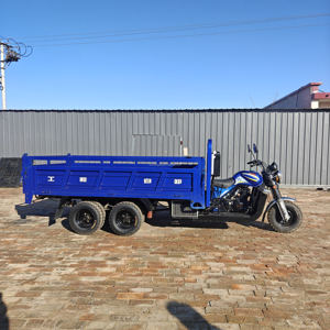 <span class=keywords><strong>Triciclo</strong></span> de Carga Personalizado de 350 CC con Refrigeración por Agua Eje Trasero Doble 9 Ruedas Motocicleta de Doble Rueda 9 Ruedas Triciclos Motorizados - Product Image 2