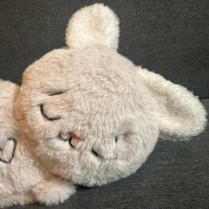 Amy Thỏ Haoxuan Nhà Máy Bán Buôn Âm Nhạc Nhẹ Nhàng Bunny Đồ Chơi Sang Trọng Giáo Dục Sớm Bé Búp Bê & Ngủ Đồng Hành Cho Trẻ sơ sinh - Product Image 3