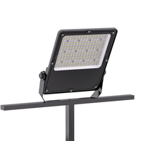 Projecteur LED extérieur pour jardin, parc, cour, garage, piscine, stade, éclairage 100w 150w 200w 300w, projecteur LED 170lm/w