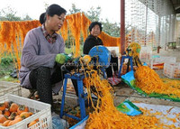 Semi-Automatische Mango Peeling Machine Kiwi Apple Dunschiller Machine