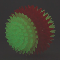 Jouet à mâcher lumineux en TPR pour chien, balle à picots, couineur, durable, texture résistante aux morsures, qui brille dans le noir, écologique, pour le nettoyage des dents, mignon et classique