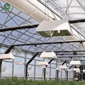 Sainpoly Thailand Greenhouse Turnkey Projects Full Automatic Greenhouse Hemp Black Out Green House Light Dep Greenhouse