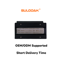 Lámpara de Curado UV LED de 200W Refrigerada por Aire, 395nm, 11W/cm², Área de Emisión de 80x20mm para Secado de Tinta de Impresoras UV Epson I3200 XP600 TX800