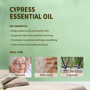 Aceite Esencial de Ciprés Puro (Cupressus Sempervirens) |   <span class=keywords><strong>Astringente</strong></span> Potente para <span class=keywords><strong>Piel</strong></span> <span class=keywords><strong>Grasa</strong></span> y Soporte para Venas Varicosas - Product Image 4
