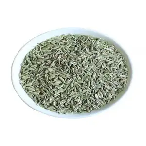 Wholesale Single Spices New Crop Low Price Seasoning 99% Fennel Seeds