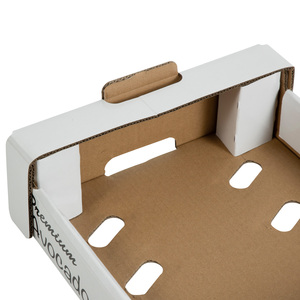 Barquettes d'emballage ventilées en carton ondulé <span class=keywords><strong>pour</strong></span> l'emballage des avocats, boîtes d'expédition personnalisées <span class=keywords><strong>pour</strong></span> produits frais, imprimées sur mesure <span class=keywords><strong>pour</strong></span> le marché des fruits - Product Image 5