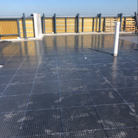 Plaque de drainage en plastique avec trous de drainage, cellule de drainage 30 mm, canal de drainage pour sol en béton, drainage ventriculaire de toiture, panneau de drainage siphonique