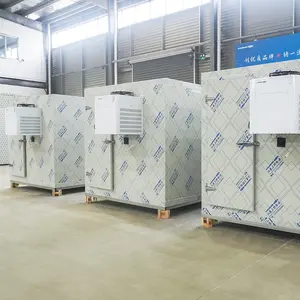Hot sale Cold Storage Room Walk inFreezer Containers Refrigeration Equipment