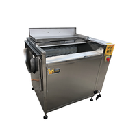 Machine à laver multifonctionnelle pour le manioc Système de lavage commercial des pommes de terre