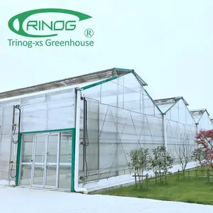 Commercial used polycarbonate sheet greenhouse with shading system