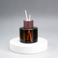 Blocs de glace réutilisables à refroidissement rapide, double usage : glacière et soulagement des blessures, idéal pour le camping, les pique-niques et l'utilisation domestique, capuchon diffuseur de parfum.