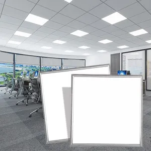 China Fabrik Hochleistungs-LED 300x600 Decken leuchte, LED-Seite schlanke Flächen leuchte 30x60 für Innen-LED-Panel-Lampe