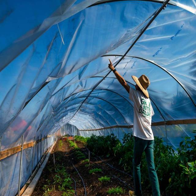 Latest Agricultural Greenhouse PE EVA PO Film for Strawberry Vegetable Farm