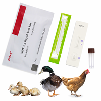 Newcastle Disease Virus Antigen Rapid Test Kit for Poultry Veterinary Instrument to Detect Birds in Chickens Ducks Geese