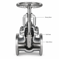 Katup Gerbang Manual Berflens LUOKEFM Z41W CF8 PN40 untuk Pipa Minyak & Gas Dudukan Logam -20~425 Garansi 1 Tahun