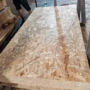 北美定制尺寸2 3 4 12 18毫米厚度便宜的木制OSB HPL胶合板价格建筑用板材