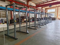 Cage de musculation multifonctionnelle pour usage commercial et domestique, pour press à la presse, squats, entraînement de la musculation des muscles du corps entier, idéale pour la salle de sport à domicile