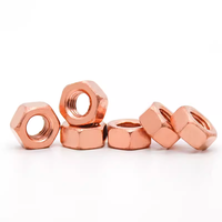 M3 M4 M5 M6 M8 M10 M12 T2 Écrou hexagonal hexagonal en cuivre rouge massif Écrous conducteurs en bronze de silicone pour armoires de communication