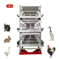 Système d'élevage avicole automatique, cage en métal pour poulets, canards, oies, usage commercial en ferme