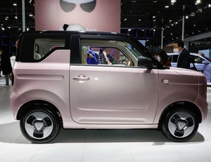 2025 Geely Panda Mini Pure Electric Micro Car Coche eléctrico ecológico Tecnología de carga rápida White Geely Panda Mini - Product Image 4