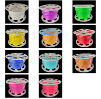 Recomendar letrero de neón naranja personalizado 9W luces de neón para dormitorio DIALux Evo diseño Rgb Dream Color Led tira con conector