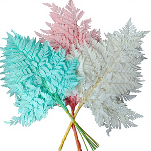 ดอกไม้แห้ง จัดดอกไม้ วัสดุตกแต่งแจกัน เฟิร์น เฟิร์นขาวอบแห้ง ใบไม้จริง เฟิร์นบอสตันแห้งพร้อมก้าน - Product Image 1