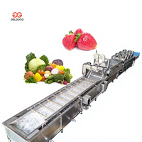 Laveuse Nettoyante Commerciale Haute Efficacité en Acier Inoxydable 304 pour Fruits et Légumes (Maïs, Tomates, Brocoli) à Bulles d'Ozone