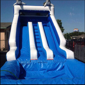 Tobogán Acuático Doble Inflable Económico, <span class=keywords><strong>Castillo</strong></span> con Tobogán Inflable para Niños y Adultos - Product Image 1