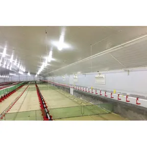 Automatic prefabricated poultry galvanized light steel structure chicken layer hen broiler breeding farm shed house design