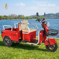 Tricycle Électrique 48V 600W Neuf en Acier, Vente Directe Usine, pour Passagers et Marchandises, Navette Double Usage pour Enfants et Personnes Âgées