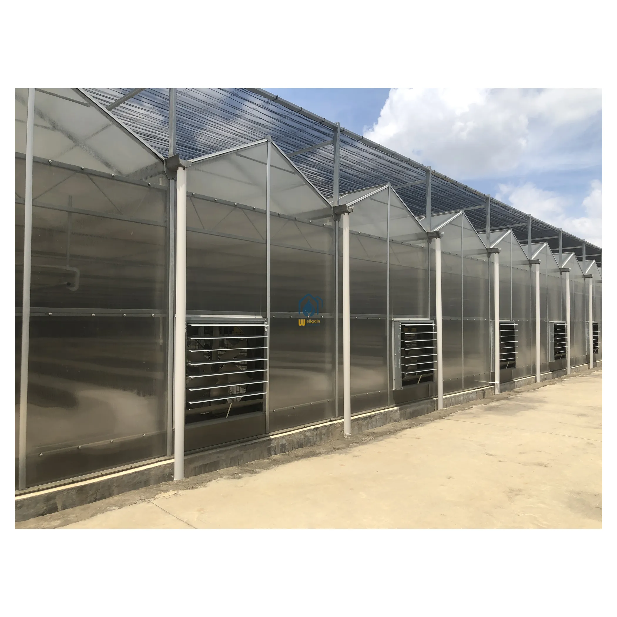 Hydroponics System Farm Greenhouse Price Hydroponics Grow Greenhouse Agricultural