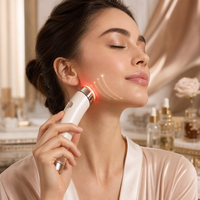 Appareil d'électrothérapie multifonctionnel personnalisé, masseur facial EMS pour femmes et hommes, utilisation quotidienne