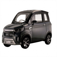 Mini-voiture électrique fermée, scooter de mobilité biplace, homologuée CEE L6e, batterie au plomb-acide, vitesse 25 km/h, voiture électrique à vendre