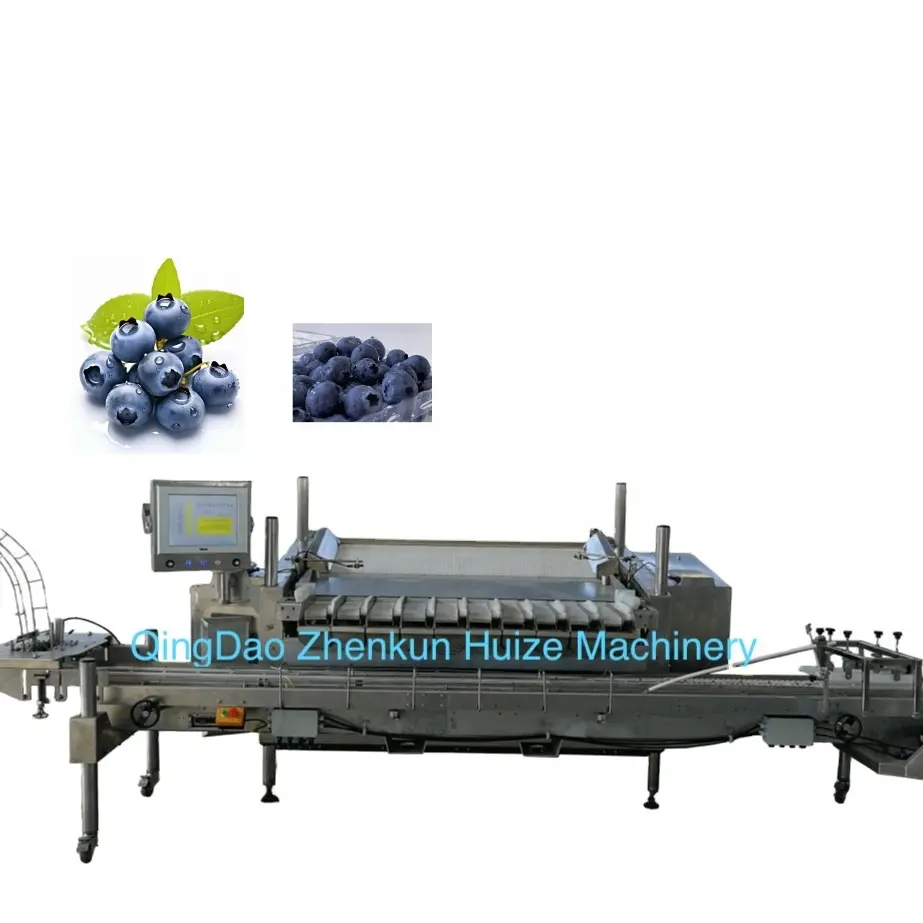 A Complete Set of Blueberry Automatic Packaging  Transportation and Packing Machinery Fruit