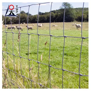 Recinto galvanizzato economico del prato della rete metallica del bestiame di recinzione del campo del bestiame delle pecore del cavallo