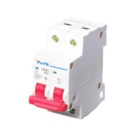 Disjoncteur miniature YUYE 2P 400V MCB 2 pôles CA 400V, structure transparente CE, identification facile pour boîtier de distribution