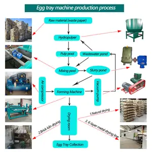 Bandeja de papel para huevos de nueva tecnología, línea de producción automática, máquina para fabricar bandejas de huevos