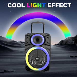 SING-E Zqs12121 Trung Quốc Các Nhà Sản Xuất Cung Cấp Tiêu Chuẩn Di Động Không Dây Mini Loa Không Dây Chuyên Nghiệp Xe Đẩy Loa OEM - Product Image 6