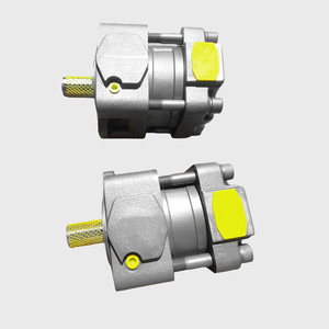 Pompe hydraulique à engrenages QT62-80F-BP-Z QT62-100F-BP-Z QT62-125F-BP-Z QT62-125F-S1389-A Pompe à huile pour machine de moulage par injection - Product Image 3