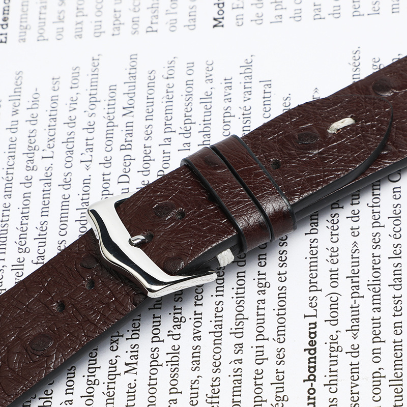 Lionorm Factory Selling Ostrich Pattern Quick Release Full Grain Watch Straps Leather 20mm 22mm Luxury Smart Watch Bands