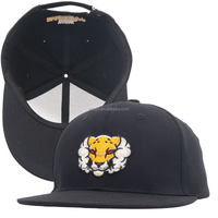 Casquette de baseball unisexe à 6 panneaux, en coton, brodée, avec logo personnalisé, vente en gros, OEM, sport, snapback