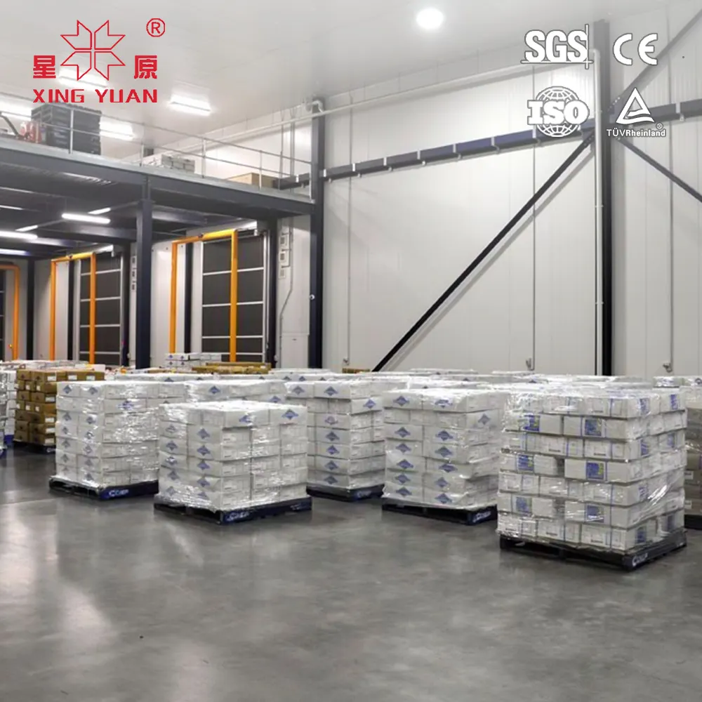 Chine grande usine bon prix champignon banane maturation chambre froide moteur capacité 400t pour légumes pomme chambre froide