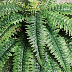 Planta Artificial de Helecho Angus de 100-200 cm, Hojas Ovaladas de Seda, Decoración para Bodas y Hogar, Revestimiento de Pared, Alta Simulación Tropical - Product Image 3