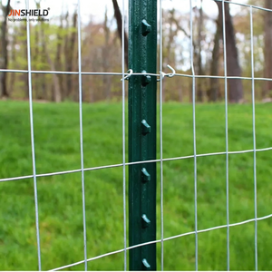 Poste de Acero Pintado de Verde de Alta Calidad con Pernos en Forma de T para Cercas Agrícolas - Product Image 5