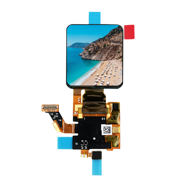 1.6 Inch 320x360 Resolution AMOLED Display RM69090 Driver IC Oncell Touch Screen 38Pin MIPI Interface OLED Display Module